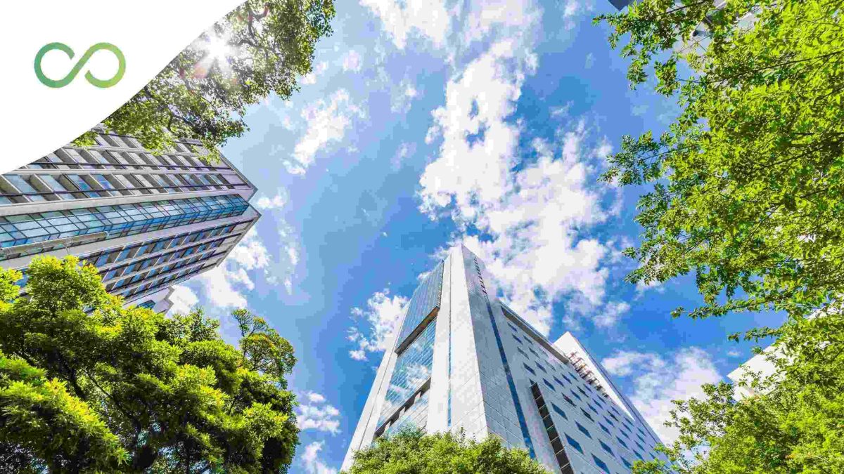 Low-angle view of modern office buildings surrounded by lush green trees under a bright blue sky, illustrating sustainable urban development and the integration of nature into city design Green Loop's experience with all three LEED, EDGE, and WELL green loop