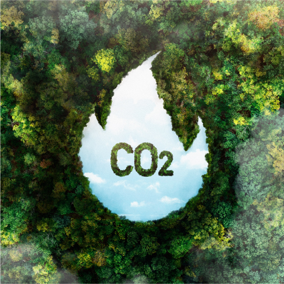 Huella de carbono y estrategia de descarbonización