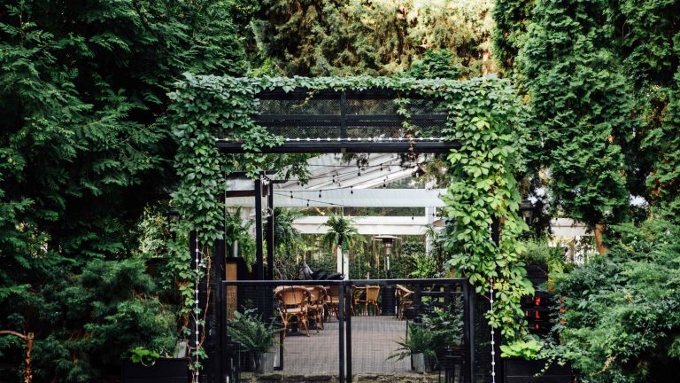 A modern outdoor dining area surrounded by lush greenery, featuring a contemporary pergola covered in climbing plants and a tranquil garden setting Biophilic Hotel Design: A 2026 Guide for US and Caribbean Resorts green loop